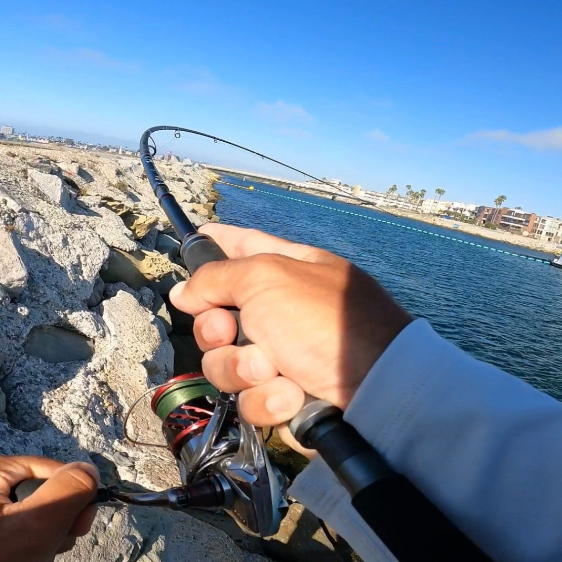 Fishus Starling Travel Rod