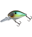 ASSAULT CRANK TIGHT