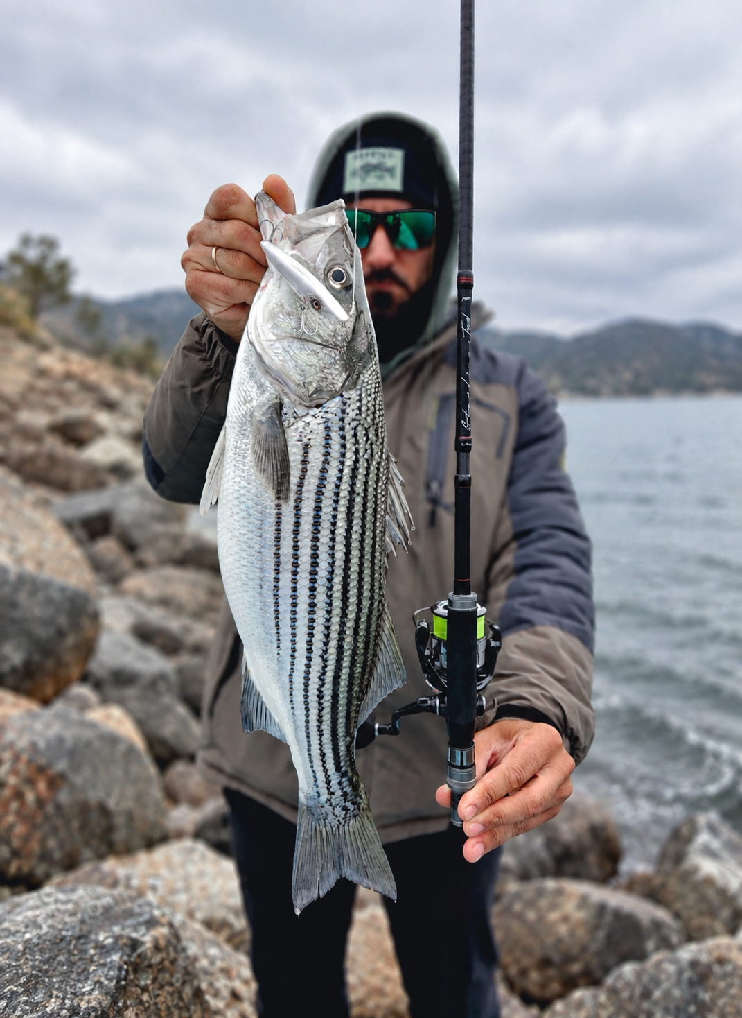 Fishus Starling Travel Rod
