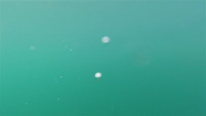 Wobly